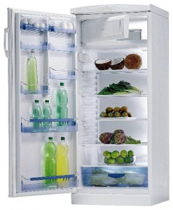 Charakteristik Kühlschrank Gorenje RB 6288 W Foto