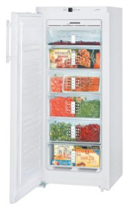 Charakteristik Kühlschrank Liebherr GN 2313 Foto
