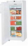Liebherr GN 2313 Buzdolabı dondurucu dolap