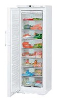 Charakteristik Kühlschrank Liebherr GN 3066 Foto