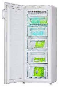 Charakteristik Kühlschrank LGEN TM-152 FNFW Foto