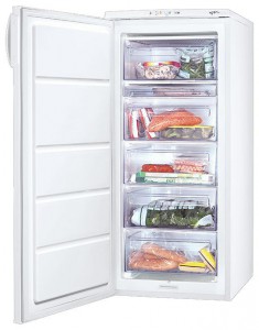 katangian Refrigerator Zanussi ZFU 319 EW larawan