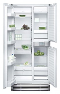 Charakteristik Kühlschrank Gaggenau RX 492-290 Foto