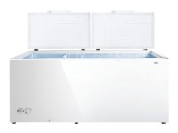 характеристики Холодильник Hisense FC-66DD4SA Фото