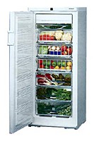 Charakteristik Kühlschrank Liebherr BSS 2986 Foto