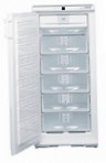 Liebherr GSN 2423 Tủ lạnh tủ đông cái tủ