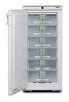 katangian Refrigerator Liebherr GSP 2726 larawan