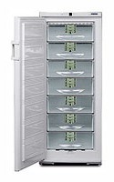 Charakteristik Kühlschrank Liebherr GSP 3126 Foto