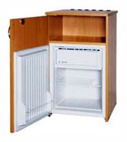 đặc điểm Tủ lạnh Snaige R60.0412 ảnh