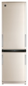 kjennetegn Kjøleskap Sharp SJ-WM362TB Bilde