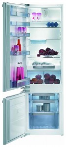katangian Refrigerator Gorenje RKI 55295 larawan