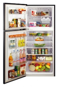 đặc điểm Tủ lạnh Samsung RT-45 USGL ảnh