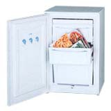 характеристики Холодильник Ока 124 Фото