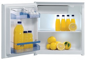 katangian Refrigerator Gorenje RBI 4098 W larawan