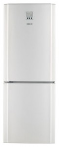 Charakteristik Kühlschrank Samsung RL-26 DCSW Foto