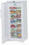 Liebherr GNP 2976 Fridge freezer-cupboard