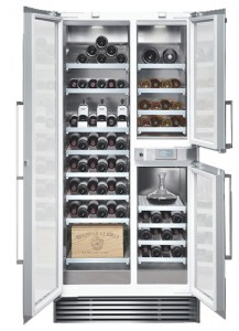 Charakteristik Kühlschrank Gaggenau RW 496-250 Foto