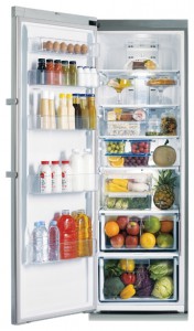 χαρακτηριστικά Ψυγείο Samsung RR-92 EESL φωτογραφία