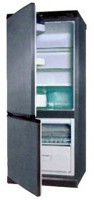 Charakteristik Kühlschrank Snaige RF270-1671A Foto