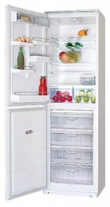 katangian Refrigerator ATLANT ХМ 6023-001 larawan