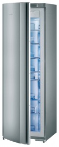 katangian Refrigerator Gorenje FN 67233 EL larawan