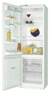 katangian Refrigerator ATLANT ХМ 6024-052 larawan