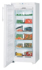 Charakteristik Kühlschrank Liebherr GN 2356 Foto