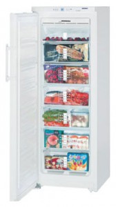 Характеристики Холодильник Liebherr GN 2756 фото