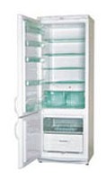 Charakteristik Kühlschrank Snaige RF315-1513A GNYE Foto