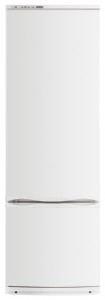 katangian Refrigerator ATLANT ХМ 6022-031 larawan