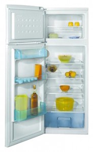 özellikleri Buzdolabı BEKO DSA 25020 fotoğraf