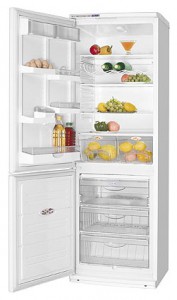 katangian Refrigerator ATLANT ХМ 5010-001 larawan