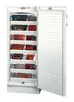 Charakteristik Kühlschrank Vestfrost BFS 275 H Foto