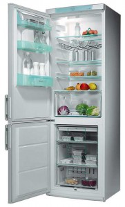 katangian Refrigerator Electrolux ERB 3651 larawan