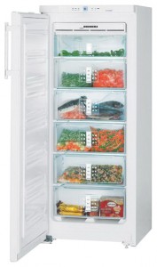 Charakteristik Kühlschrank Liebherr GNP 2356 Foto
