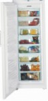 Liebherr GNP 4166 Fridge freezer-cupboard