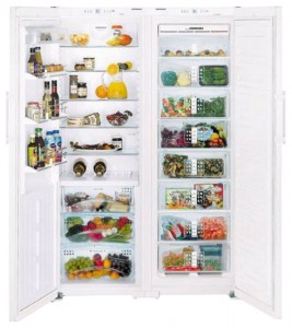 katangian Refrigerator Liebherr SBS 7273 larawan
