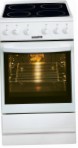 Hansa FCCW53014040 Kitchen Stove, type of oven: electric, type of hob: electric