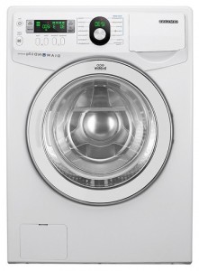 特性 洗濯機 Samsung WF1600YQQ 写真