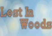 Lost in Woods 2 Steam CD Key, $0.96