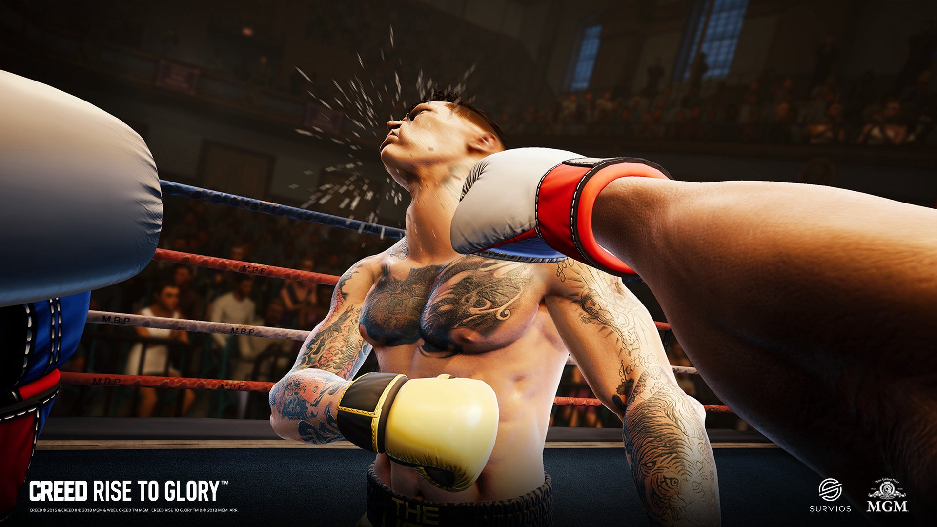Creed: Rise to Glory Steam CD Key, $10.71