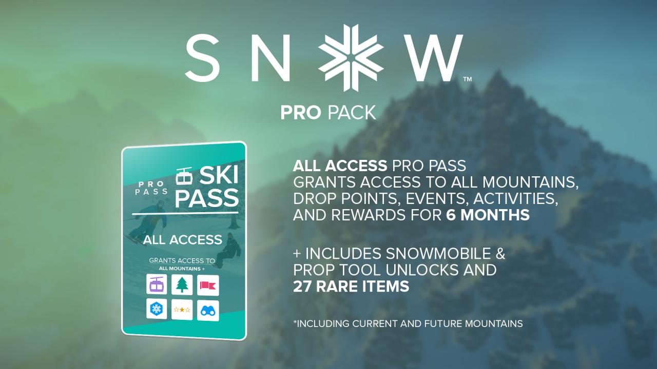 SNOW - Pro Pack DLC EU Steam CD Key, $0.53